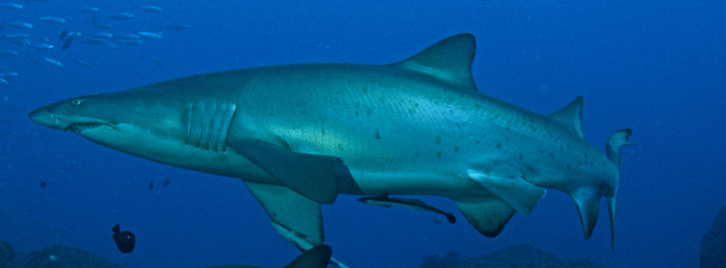 b5be1c57-2e8a-4f15-a172-395397efeb71