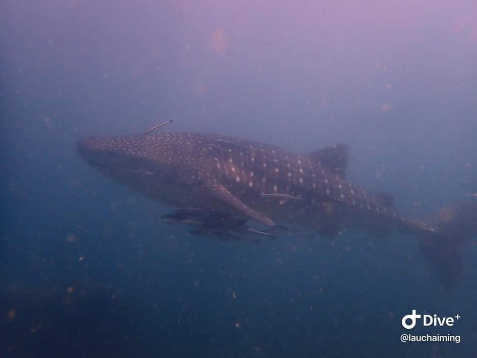 1fe0bcc2-963e-4c41-8b1e-b2f47490a6b2