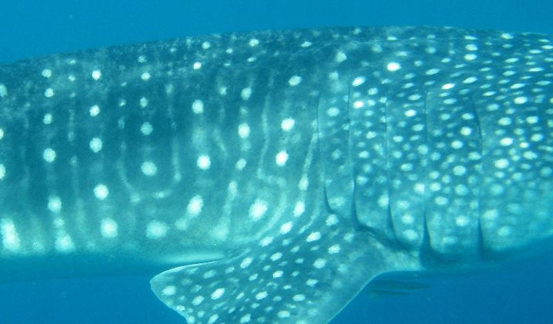 e7332dd0-8797-4c13-94d1-6d9ffdd8068b