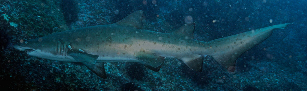 c2d37804-7af2-4031-a42a-a73bdf202109