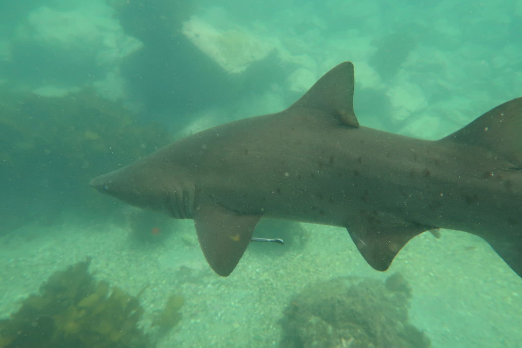 0dc06a6a-50b3-4e70-b7d3-15c5b3c37d59