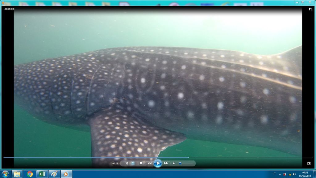 f0297c5b-1c63-46cd-9dcd-9af91a71be24