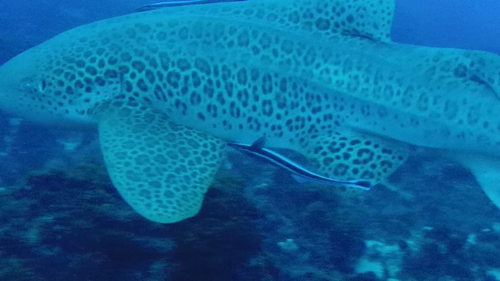 f9e10667-a551-4ca1-aa2b-fb8403cdd366