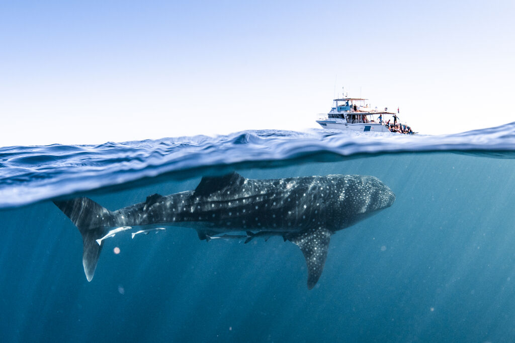 916dc8bb-48a9-4c18-984f-a39a0caab602