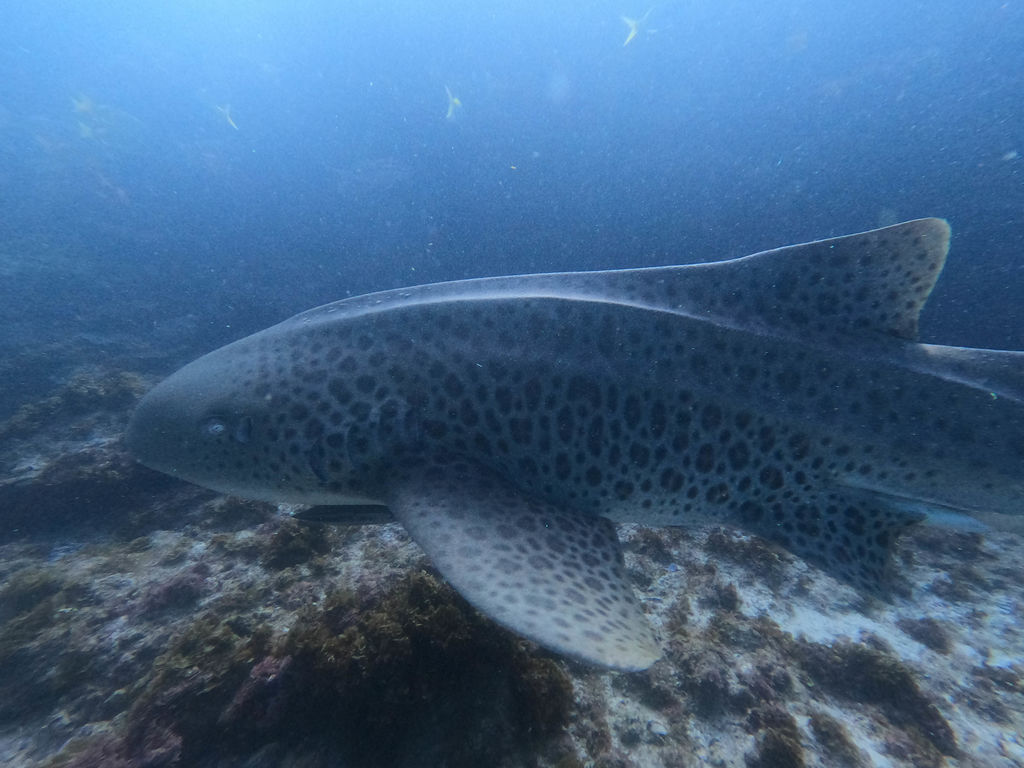 e3ec3514-0540-4f9f-aa21-a19c4ffeaeca