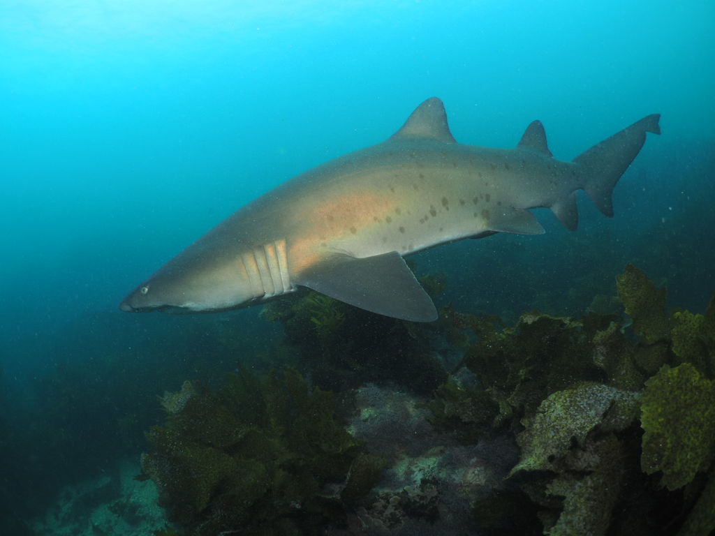 306f92c1-65d1-4f9b-b2d8-06f79fdd8b8e