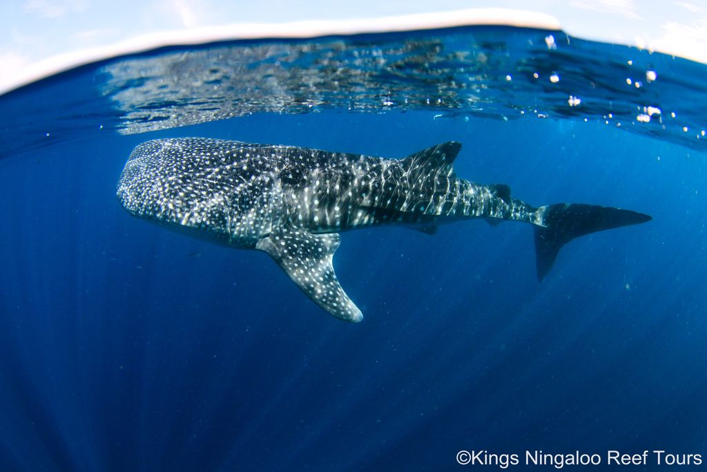 0774d24e-cb78-4a89-abd1-715c9846147d