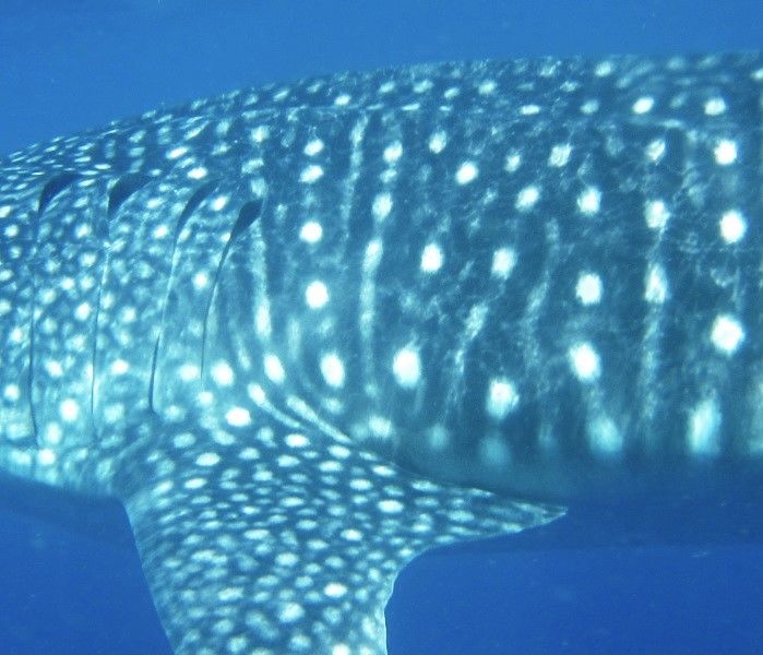 29a18e20-4018-42c7-9e0c-0916639cb2f3