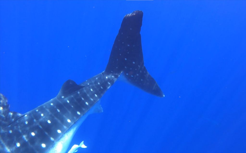 933f1c16-eb21-48fb-9c3a-f21519392487