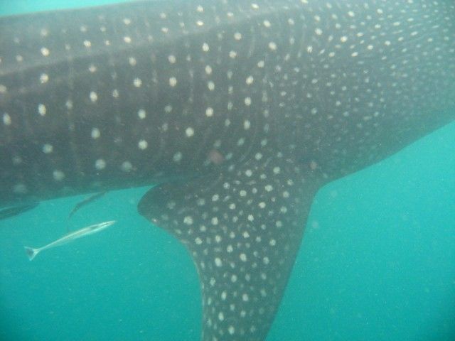 964c978a-15db-444a-ae2e-d0f36ef119c3