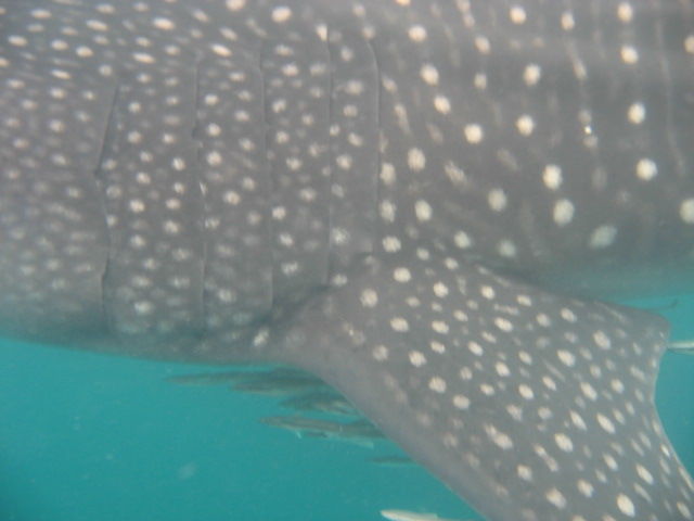 964c978a-15db-444a-ae2e-d0f36ef119c3