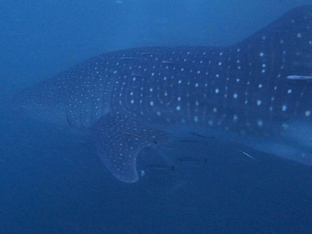 6fbf16fc-8930-4527-98b4-a080f0dc083b