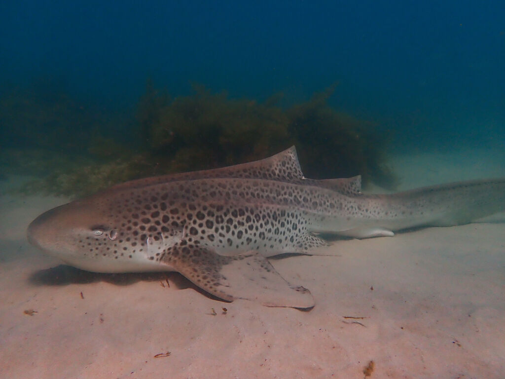 9a061c6f-8b17-4964-95d9-8d68f5868af9