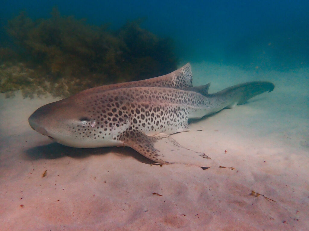 9a061c6f-8b17-4964-95d9-8d68f5868af9