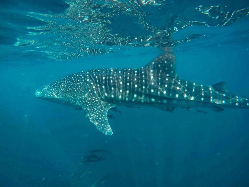 54d5bf11-2b6c-46c0-a357-8229cfc34bcd