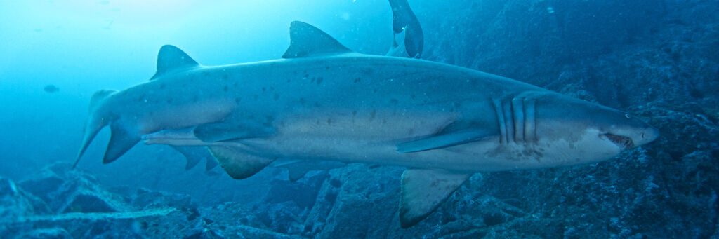 451d2b02-0b16-42be-872e-bddecea7eca2