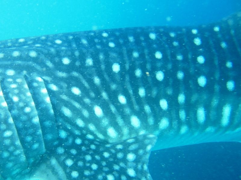 cbb666d4-2f3c-4d58-b84f-b15c852139c3