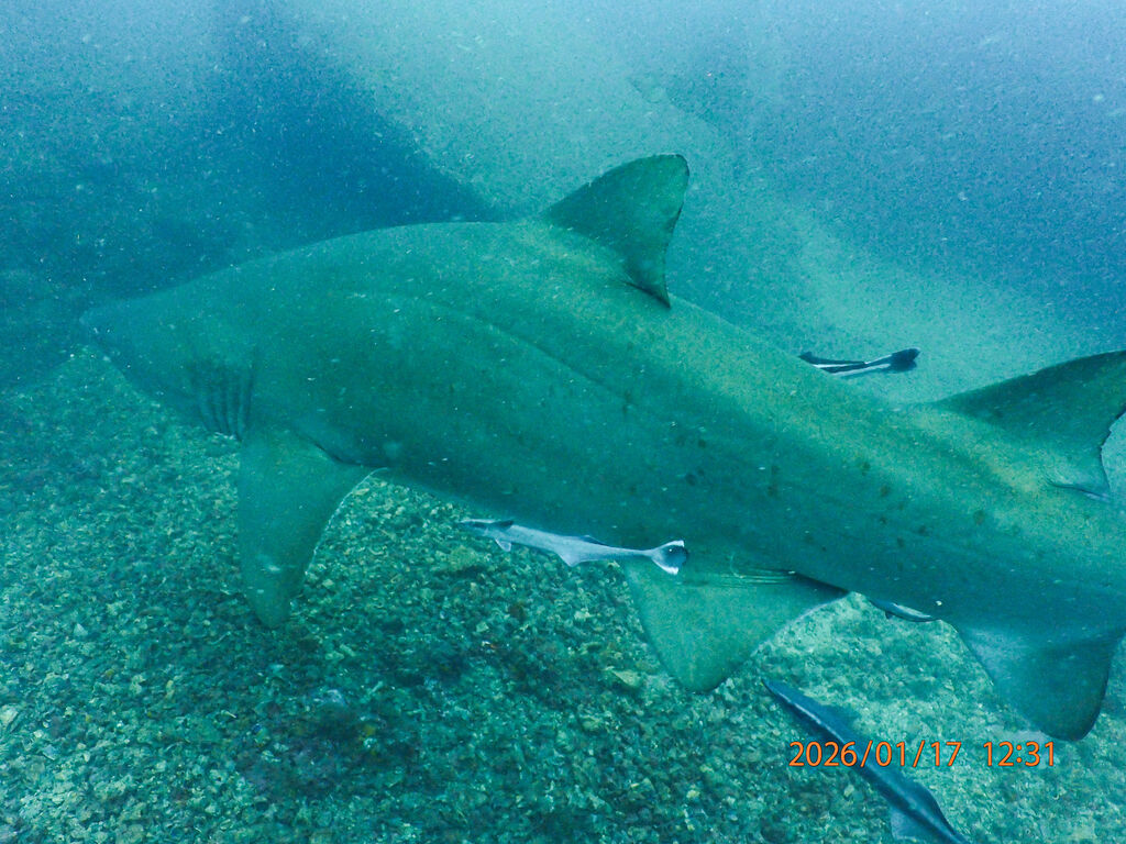 56fdf24e-4e09-49c5-bd3a-12b4ce67aa5d