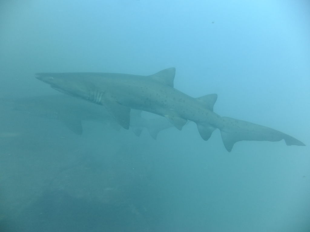 f4559adb-7ba8-4c9b-8296-ccbbb9b0fb27