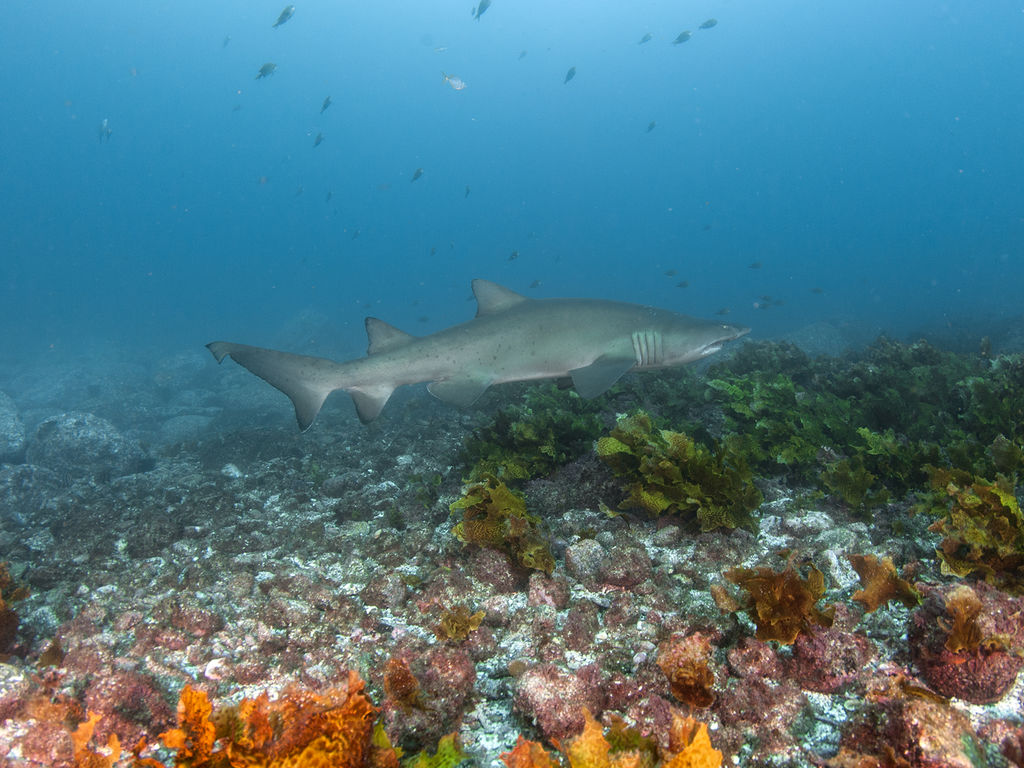 99c4972a-3d21-4f46-9e43-8d6722ed3382