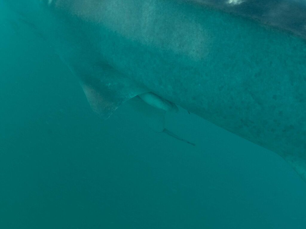 2b118670-05b2-41f2-9e5a-b09f3508ce72