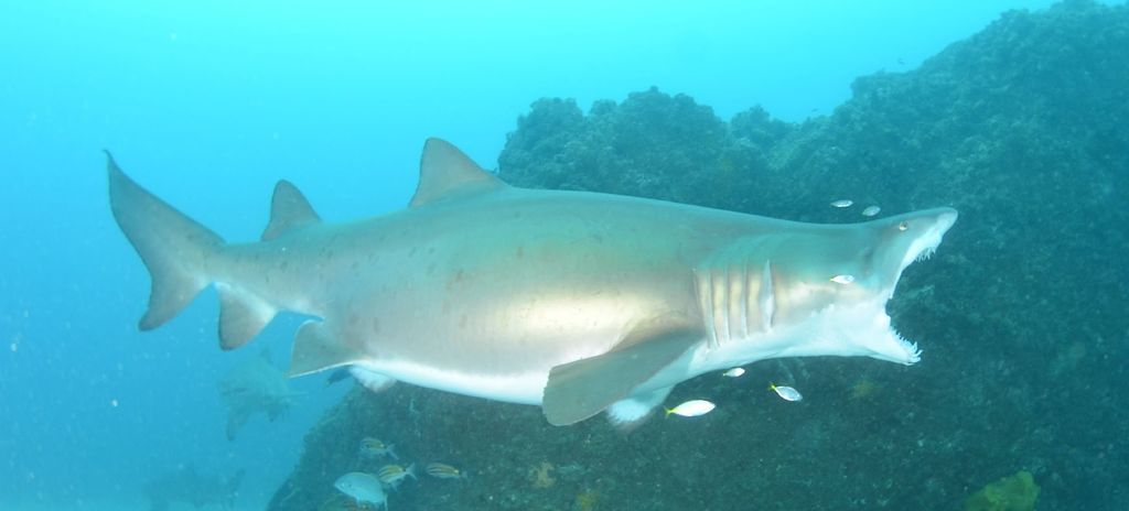 e835ea06-fb1c-4797-998f-10ad31f28679