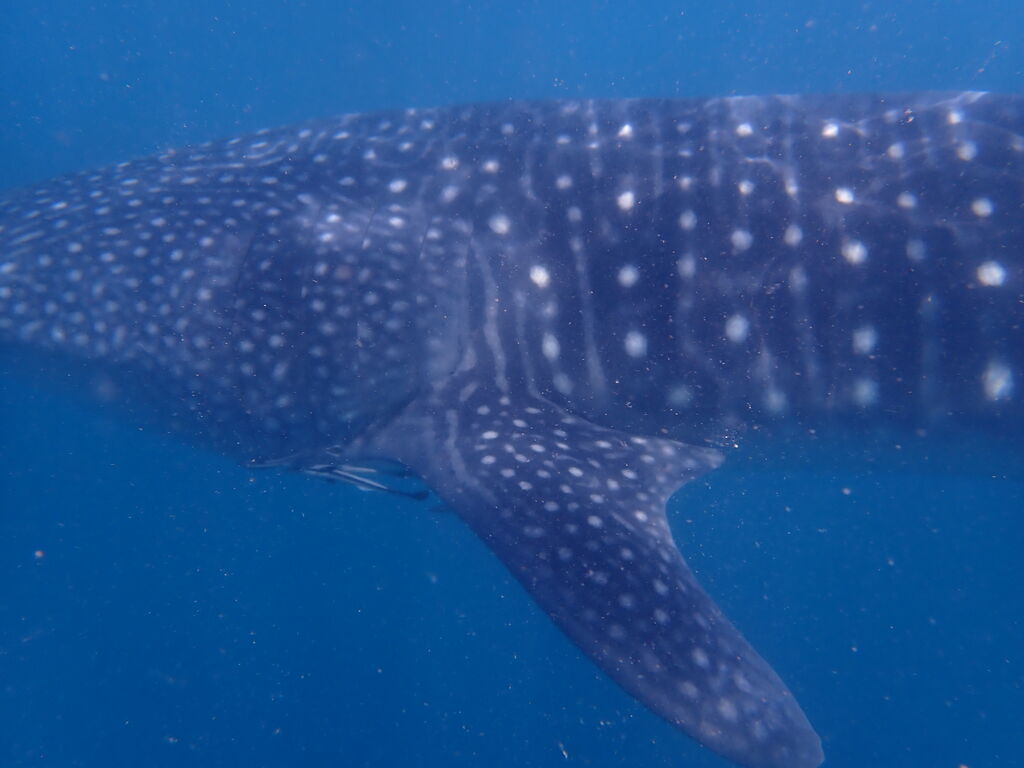 0054aa67-30ea-4619-aa0f-e012a038ba86