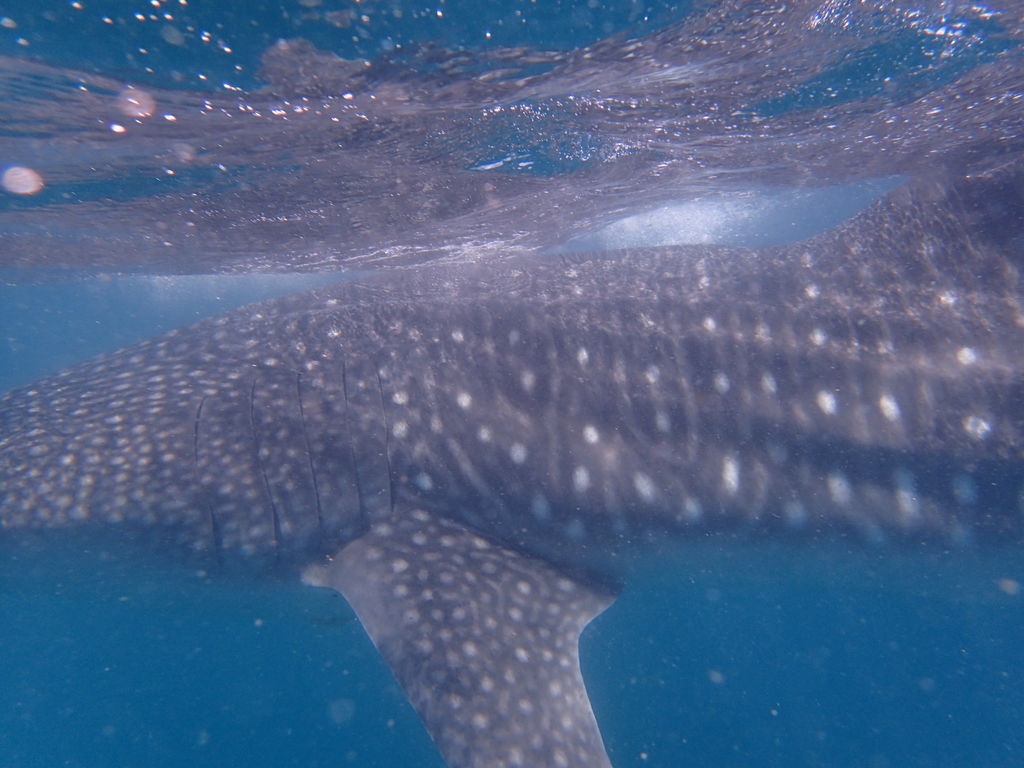 e64442aa-1c6f-4212-8724-9d52676e0119