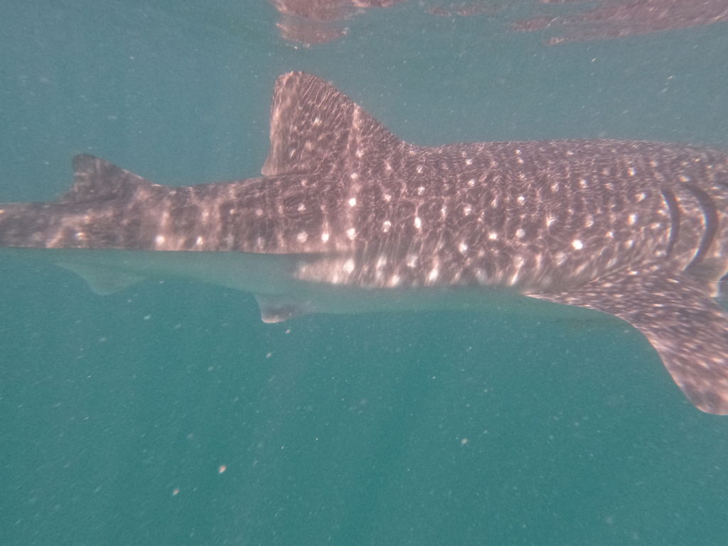 e64442aa-1c6f-4212-8724-9d52676e0119