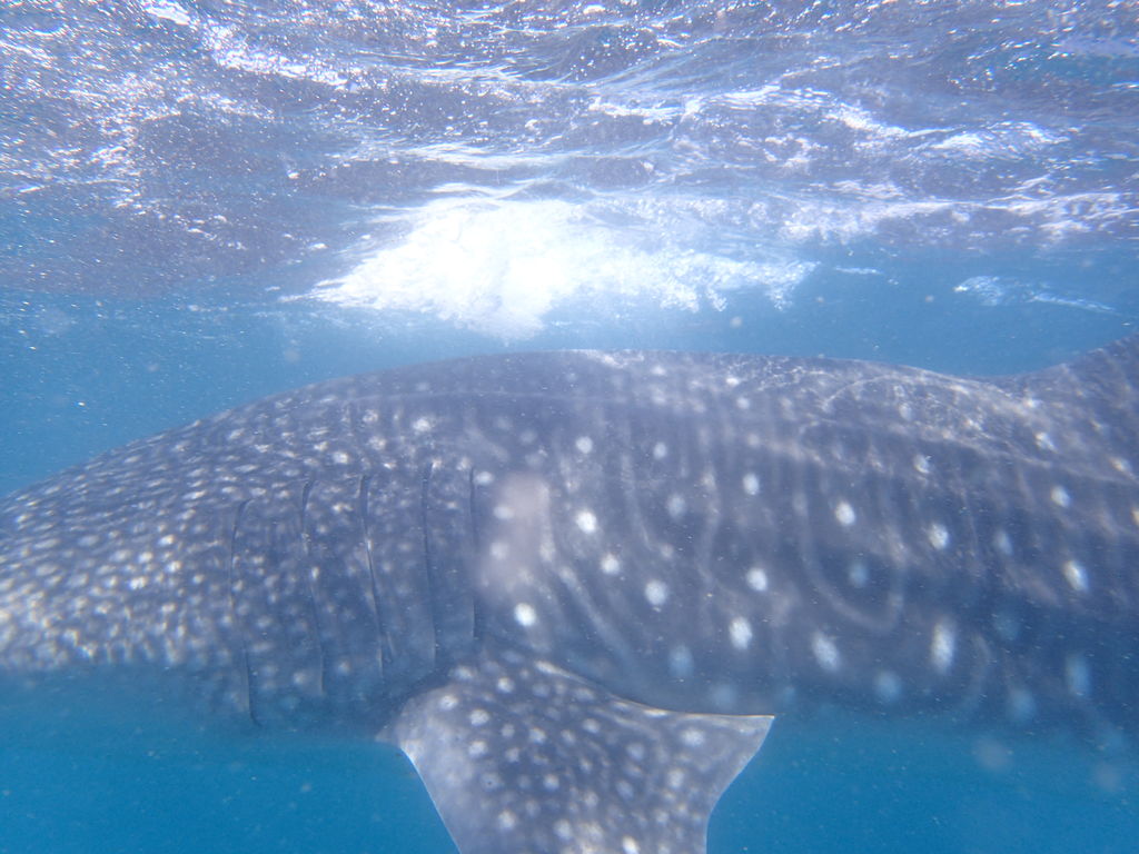 e64442aa-1c6f-4212-8724-9d52676e0119