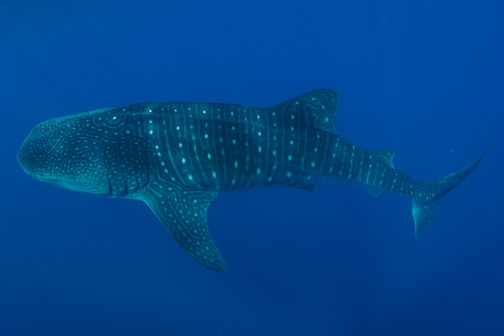 a4d89592-03ce-4f48-802b-afd3d64b1928