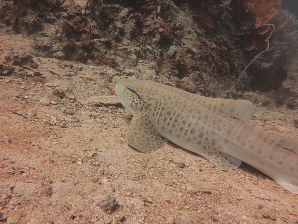 bd523bac-5c72-465d-adb9-7aca88af0728