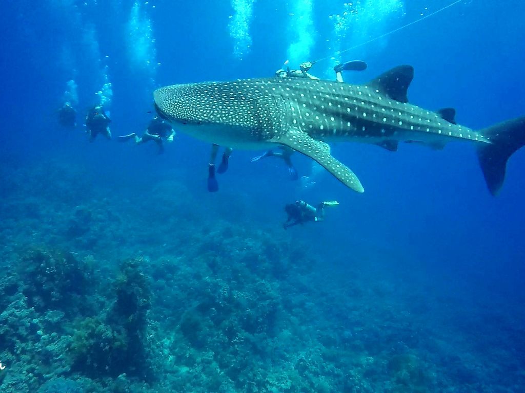 2d2f2fda-a71d-49ee-9c07-ed86159065b9