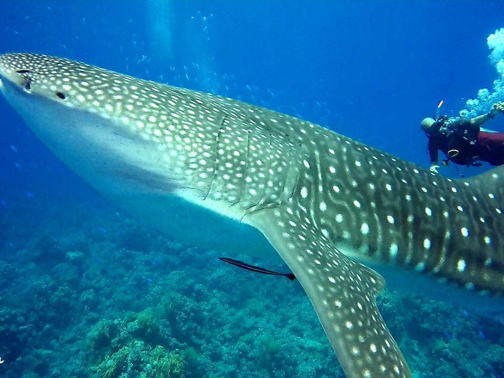 2d2f2fda-a71d-49ee-9c07-ed86159065b9