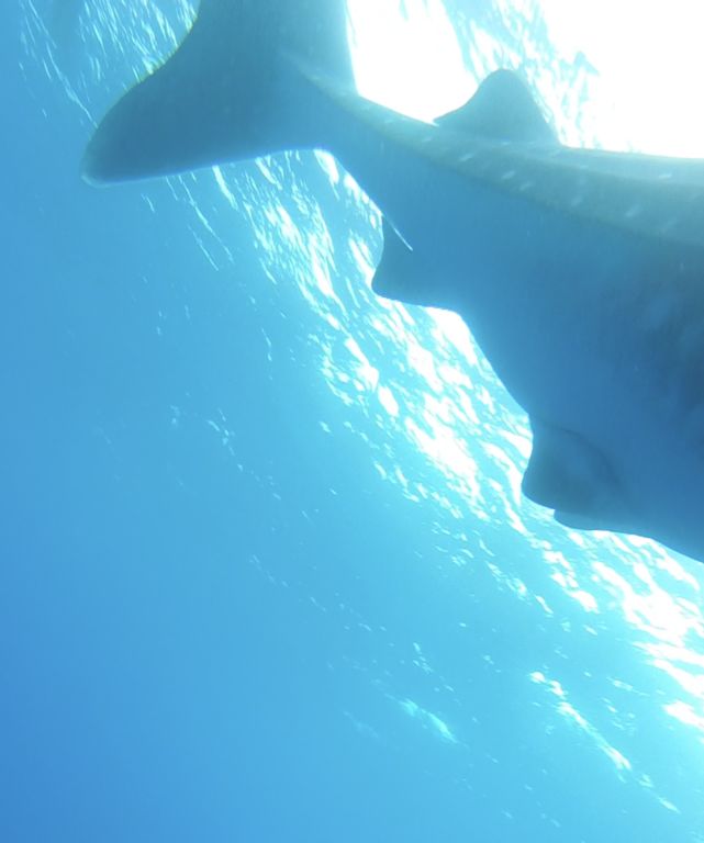 4f5a86e8-b73d-41c0-a706-8f90f04c4922