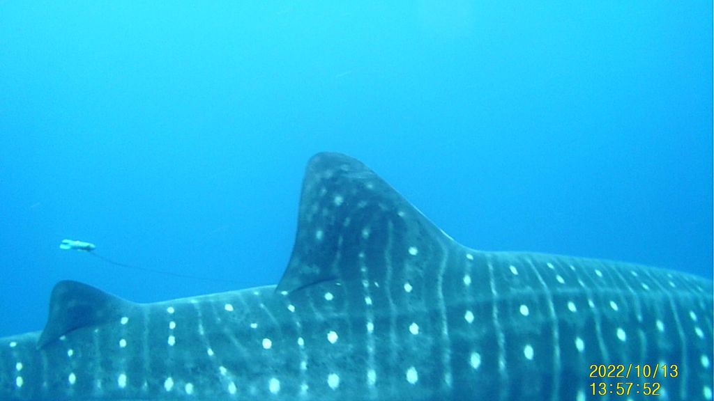 4f5a86e8-b73d-41c0-a706-8f90f04c4922