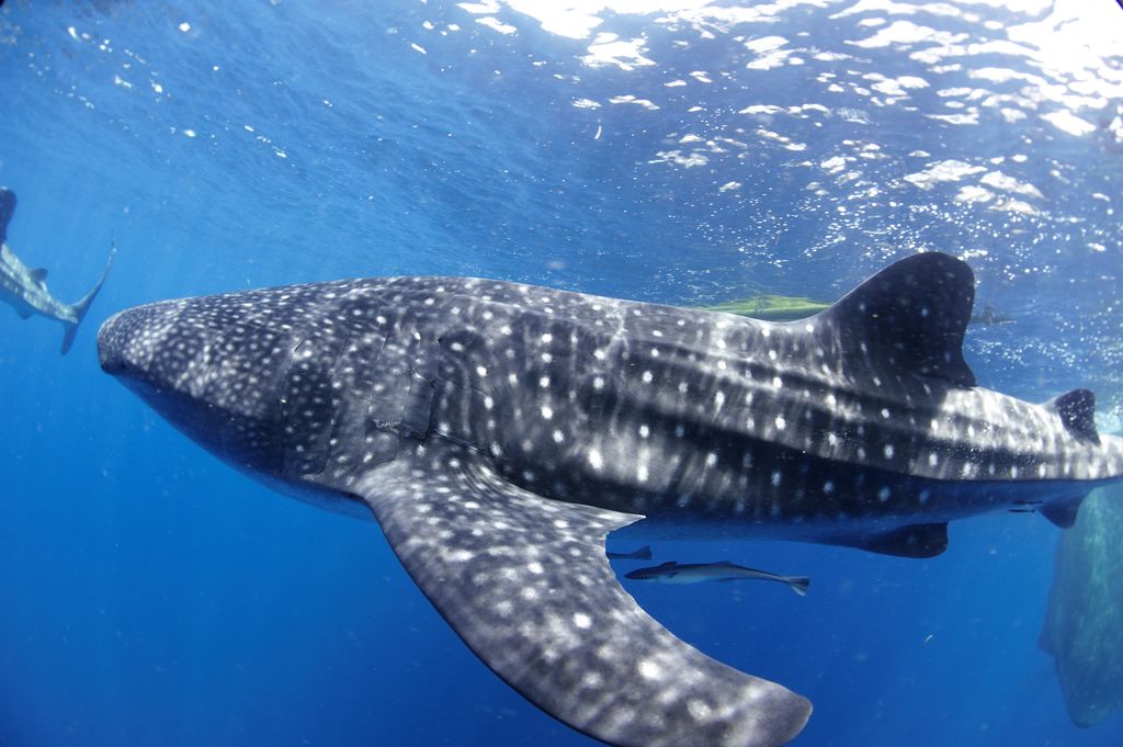 a6209864-a74a-4f70-aacc-72ffc9ec652d