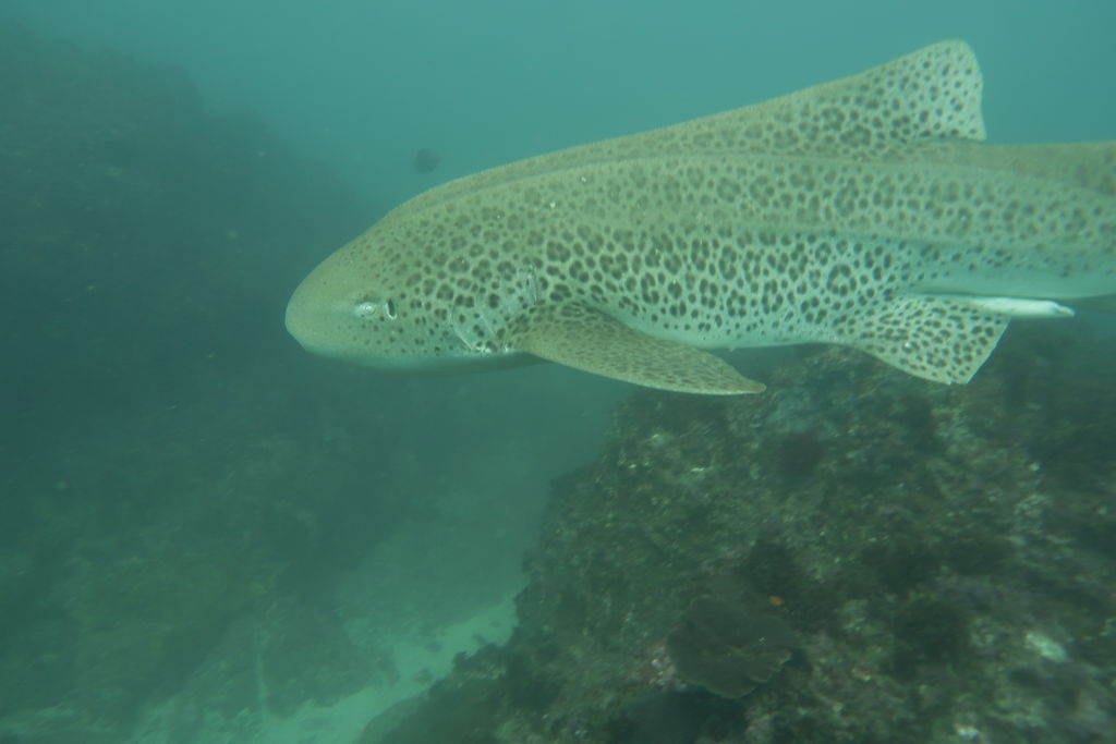 9a20f94f-7c8b-4476-8c86-db3ee513e758