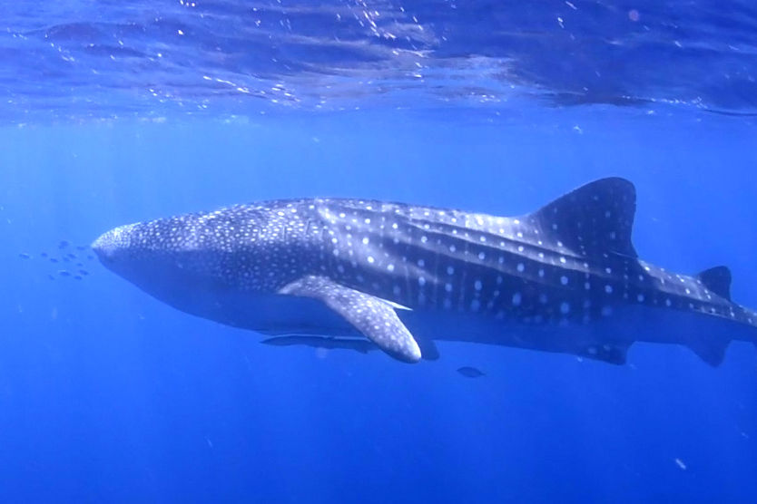 05b805ca-2e30-49cb-8911-825afafbac9b