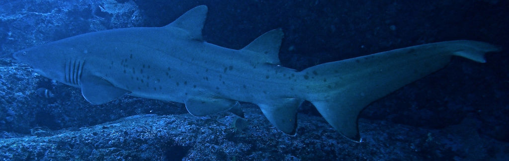 d151945a-7e23-4417-93e3-1445d92993bf