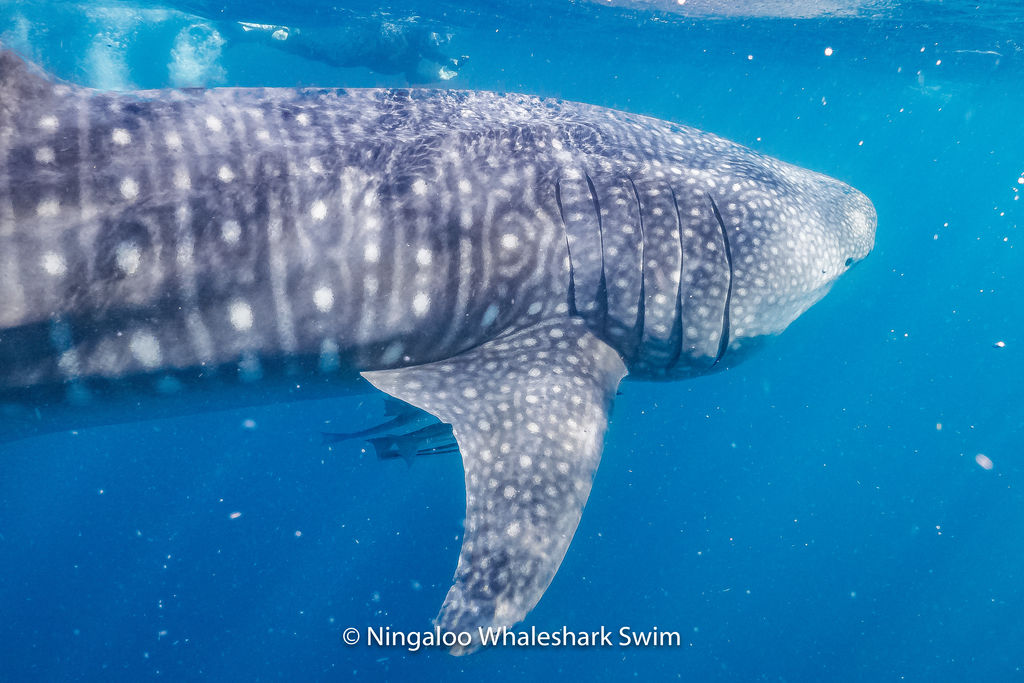 37d74d08-a0d0-490e-a934-ebe73d896502