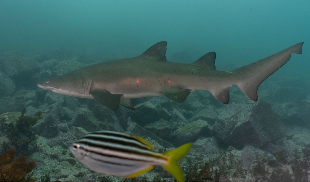 1645b24b-a54e-4ff0-b053-2cc3f0d0205d