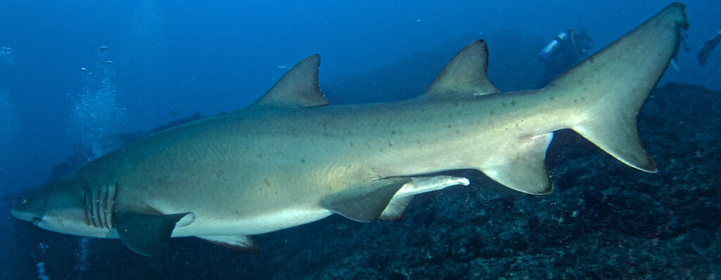 2bdf2a75-2563-495a-8f8a-a057d96112c6