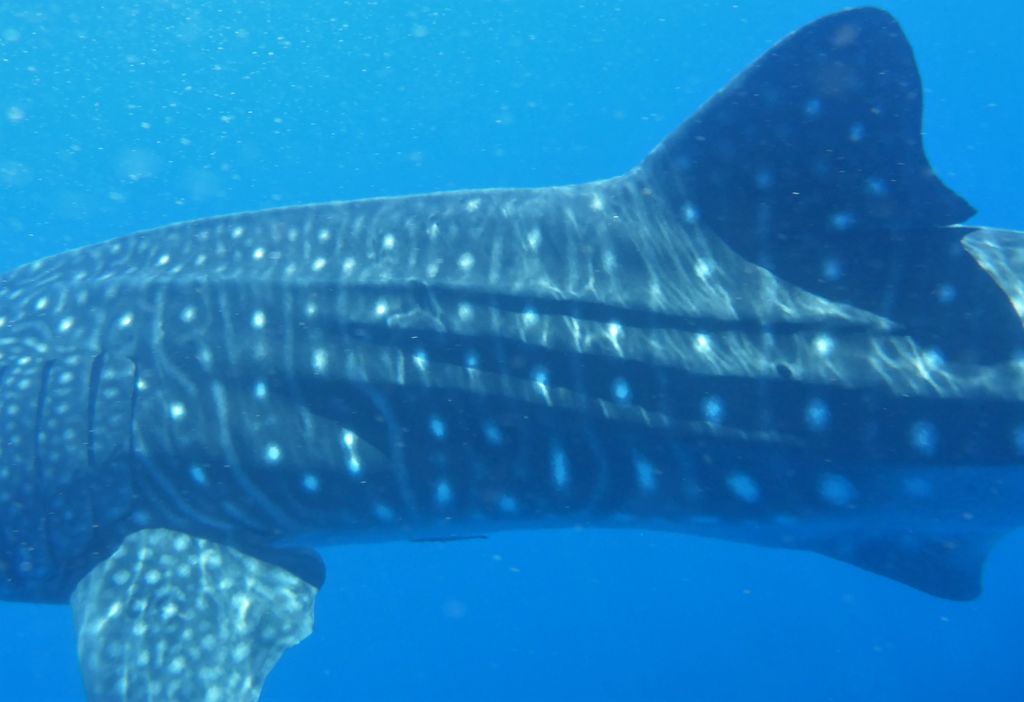 8d2a3494-ac21-485d-9570-bee3d424edd4