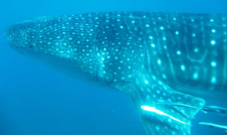 57c42c00-6d05-429a-9072-951df607acc1