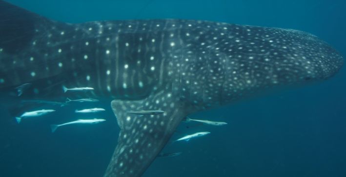 57c42c00-6d05-429a-9072-951df607acc1