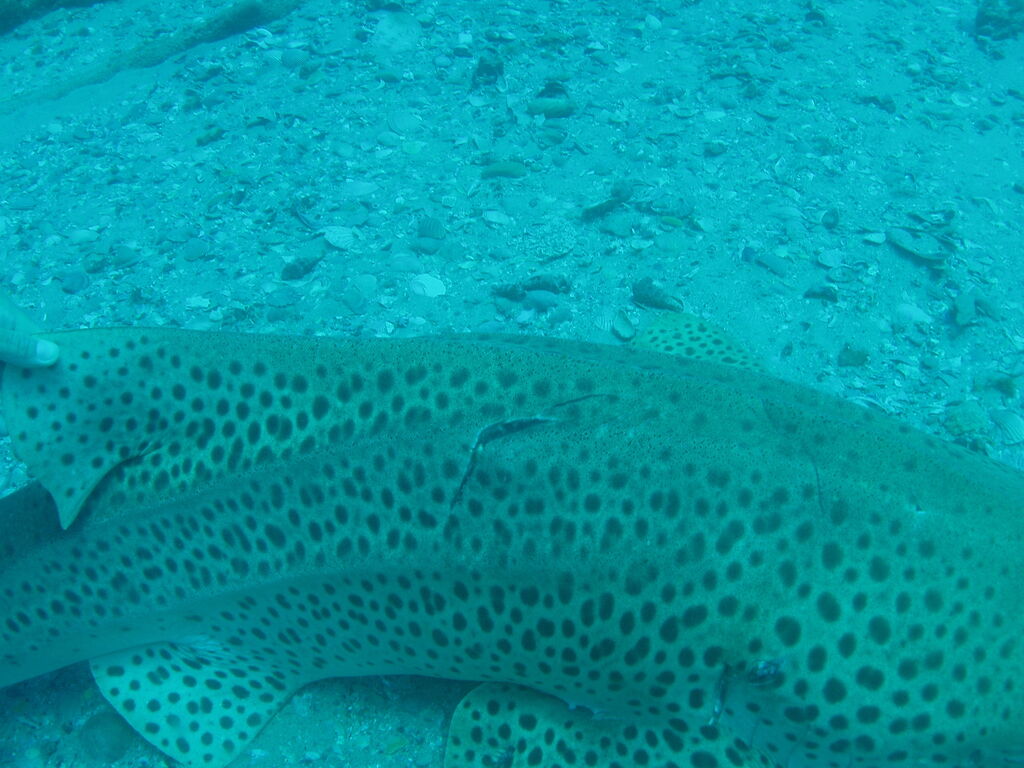 8fcec9fa-e0bc-49f1-9136-564baffb3692