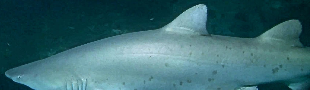 321a52d7-f0ab-42a4-a683-74f2421789b9