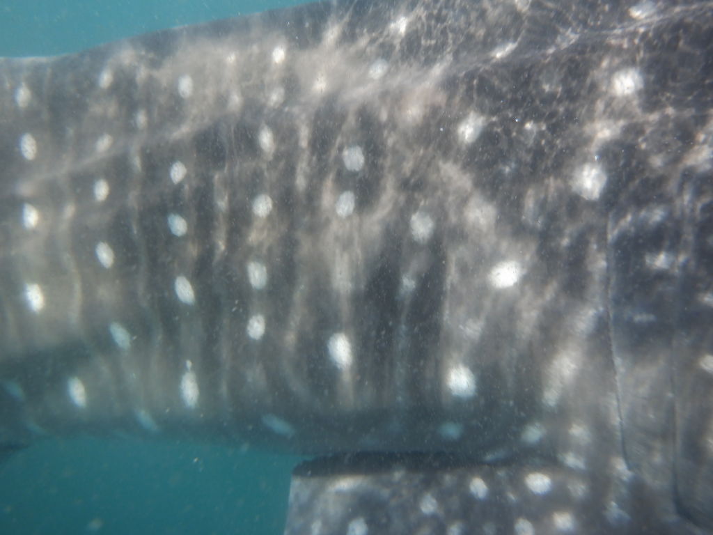 b898b334-ef30-4776-9e1c-a79d186c9a38