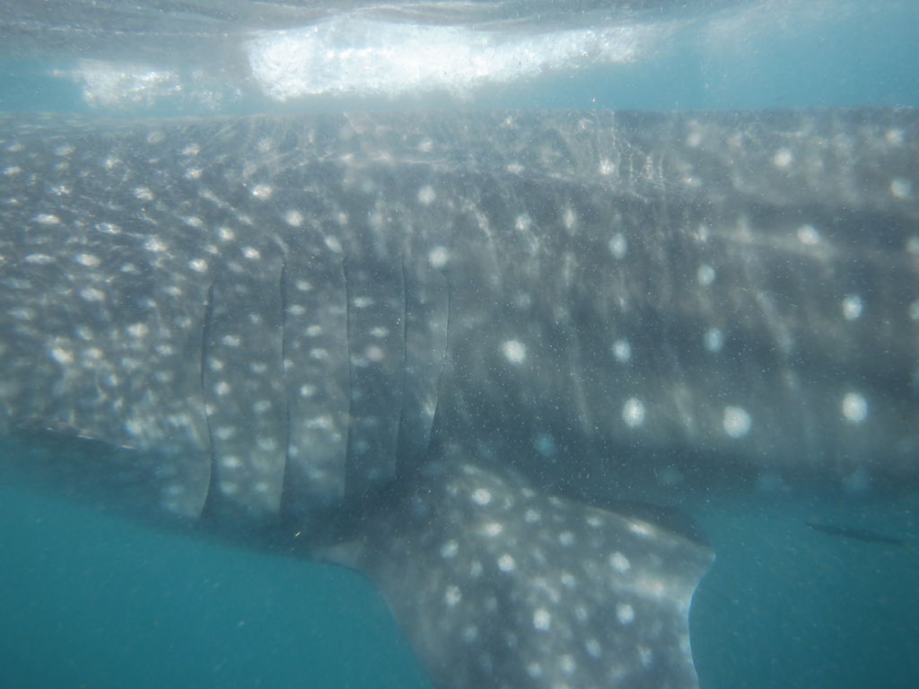 b898b334-ef30-4776-9e1c-a79d186c9a38